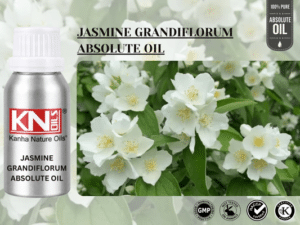 JASMINE GRANDIFLORUM ABSOLUTE OIL