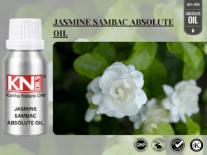 JASMINE SAMBAC ABSOLUTE OIL