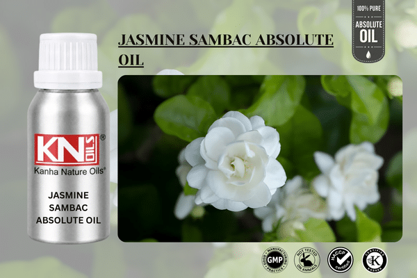 JASMINE SAMBAC ABSOLUTE OIL