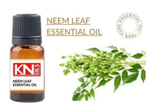 NEEM LEAF ESSENTIAL OIL