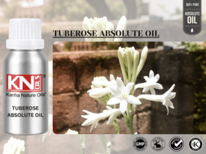 TUBEROSE ABSOLUTE OIL