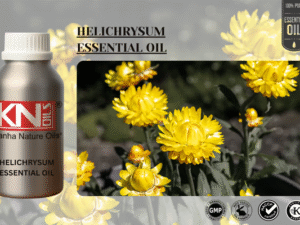 HELICHRYSUM ESSENTIAL OIL