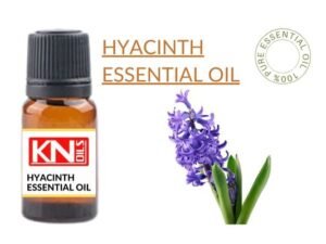 HYACINTH ESSENTIAL OIL