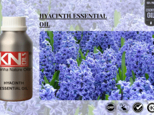 HYACINTH ESSENTIAL OIL