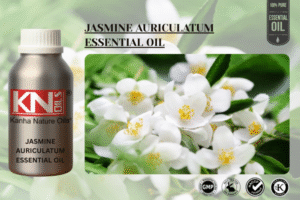 JASMINE AURICULATUM ESSENTIAL OIL