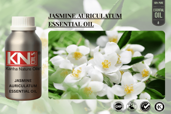 JASMINE AURICULATUM ESSENTIAL OIL