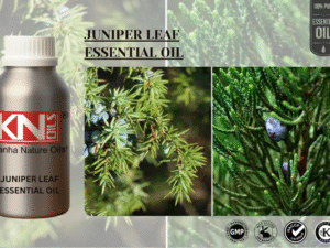 JUNIPER LEAF ESSENTIAL OIL
