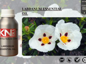 LABDANUM ESSENTIAL OIL