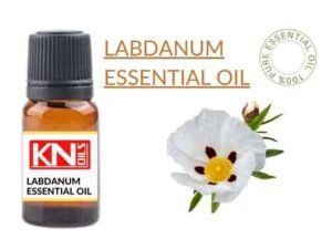 LABDANUM ESSENTIAL OIL