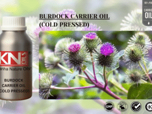BURDOCK CARRIER OIL (COLD PRESSED)