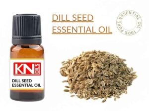 DILL SEED ESSENTIAL OIL
