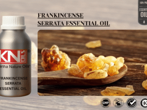 FRANKINCENSE SERRATA ESSENTIAL OIL