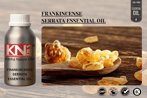 FRANKINCENSE SERRATA ESSENTIAL OIL