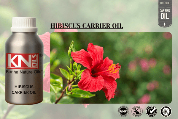 HIBISCUS CARRIER OIL