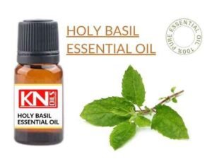 HOLY BASIL ESSENTIAL OIL