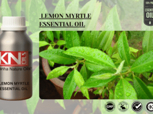 LEMON MYRTLE ESSENTIAL OIL