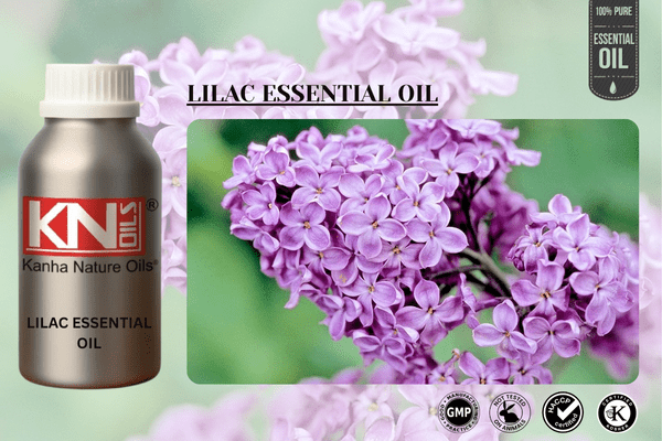 LILAC ESSENTIAL OIL