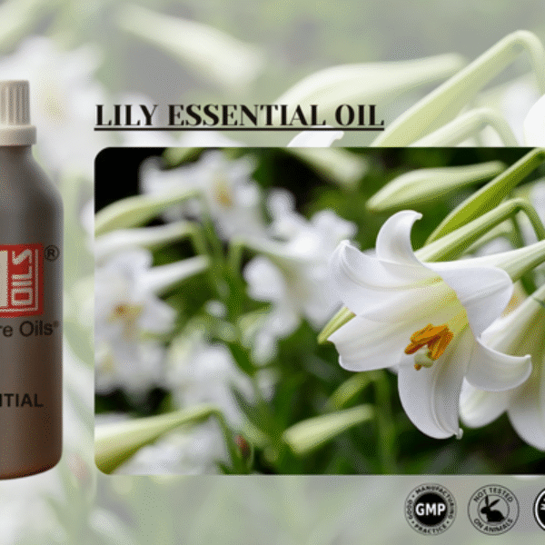 LILY ESSENTIAL OIL - Buy 100% Pure ESSENTIAL OIL from India