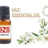 LILY ESSENTIAL OIL