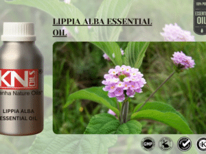 LIPPIA ALBA ESSENTIAL OIL