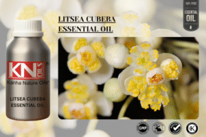LITSEA CUBEBA ESSENTIAL OIL