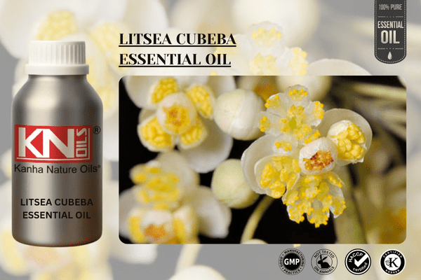 LITSEA CUBEBA ESSENTIAL OIL