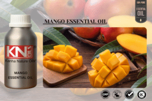 MANGO ESSENTIAL OIL