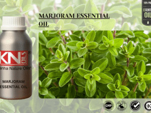 MARJORAM ESSENTIAL OIL