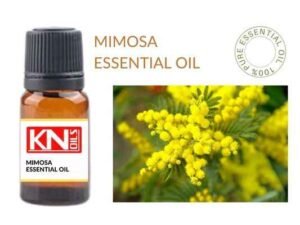 MIMOSA ESSENTIAL OIL