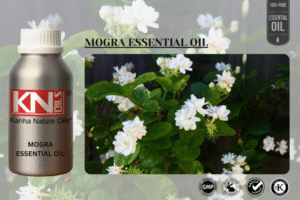 MOGRA ESSENTIAL OIL