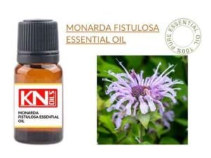 MONARDA FISTULOSA ESSENTIAL OIL