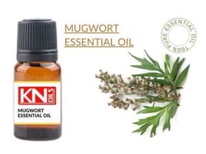 MUGWORT ESSENTIAL OIL