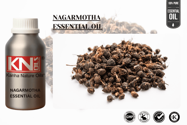 NAGARMOTHA ESSENTIAL OIL