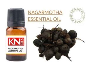 NAGARMOTHA ESSENTIAL OIL