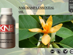 NAGCHAMPA ESSENTIAL OIL