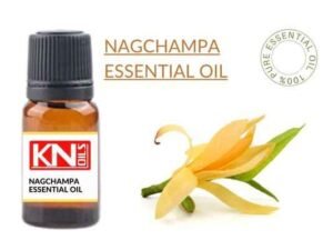 NAGCHAMPA ESSENTIAL OIL