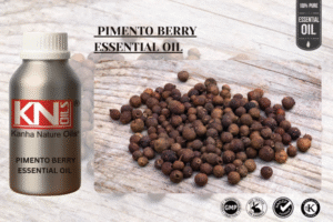 PIMENTO BERRY ESSENTIAL OIL