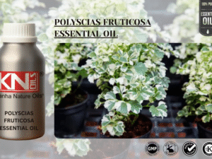 POLYSCIAS FRUTICOSA ESSENTIAL OIL
