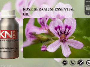 ROSE GERANIUM ESSENTIAL OIL