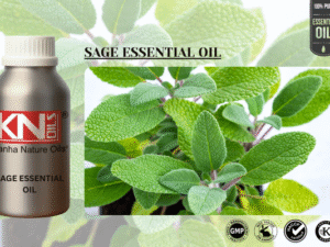 SAGE ESSENTIAL OIL
