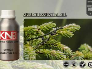 SPRUCE ESSENTIAL OIL
