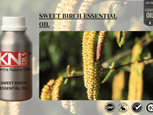 SWEET BIRCH ESSENTIAL OIL
