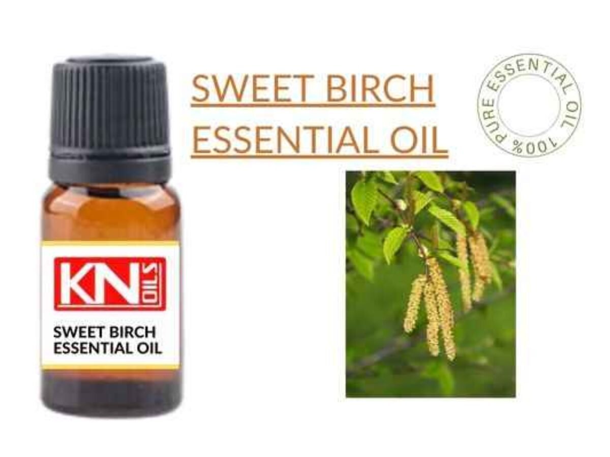 Sweet Birch Essential Oil