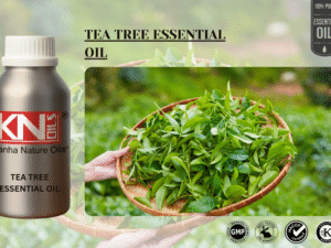 TEA TREE ESSENTIAL OIL
