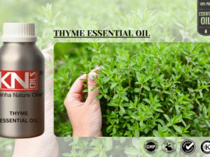 THYME ESSENTIAL OIL