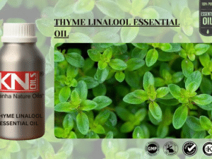 THYME LINALOOL ESSENTIAL OIL
