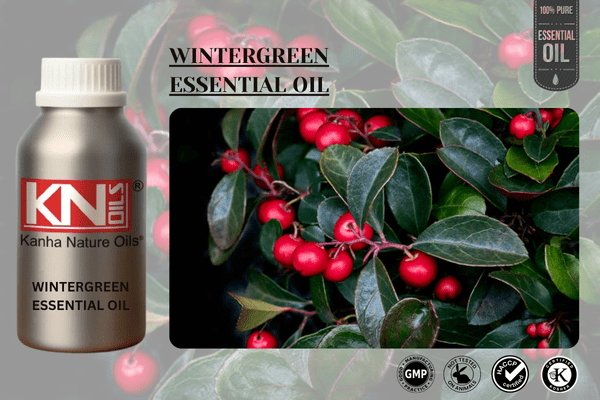 WINTERGREEN ESSENTIAL OIL