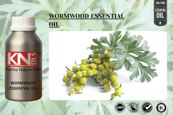 WORMWOOD ESSENTIAL OIL