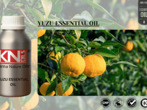 YUZU ESSENTIAL OIL