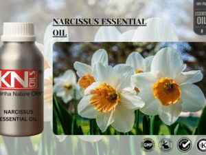 NARCISSUS ESSENTIAL OIL